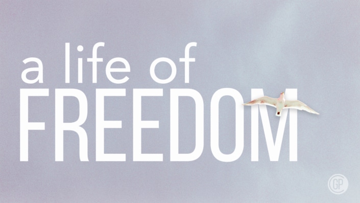 A Life Of Freedom